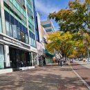 수누리뼈다귀 이미지