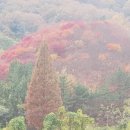 송치재휴게소(상)