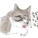 로즈퀼트