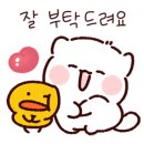 늘봄헬스케어 이미지