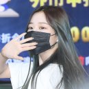 다인헤어센스