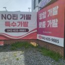 모두스가발 이미지