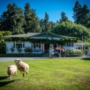 머물농장 이미지