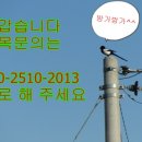 동부꽃농원 이미지