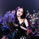 아이리스비쥬얼