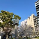 오사카 4박 5일 짧은 후기 (하)