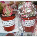 다유기랑플라워스타일링 이미지