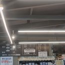🦑 밀양 대나무횟집에서 향어회를 즐겨보세요! 🐟