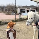 성명공원 | 과천 경마공원 포니랜드 렛츠런파크 승마체험 후기(키제한)