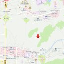 조견사우 이미지