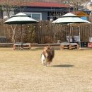 레디에이트(RADIATE) | 2025 3rd RADIATE DAY 💗