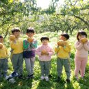 낙서초교병설유치원 이미지