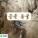 경이의세계 | 승솟동굴(Surprise Cave)베트남 하롱베이&#39;놀라움&#39;과 &#39;경이로움&#39;