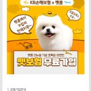 펫콤동물병원