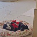 에브리 멍데이 이미지