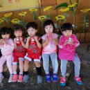 별솔농장 이미지