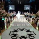 주례없는 결혼식 사회자 후기 - 중앙역 아도르 웨딩홀 이미지