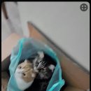 먹짜비어 | 떡뽀끼.. 마라탕..