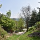 안산김씨 연성군 묘역 및 석물 이미지