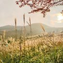 황매산군립공원 이미지