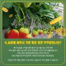 농민농장 이미지