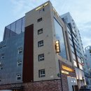 셀린트(CELINT) 이미지