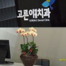 행복플러스치과의원 이미지