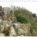 사랑의연리근 이미지