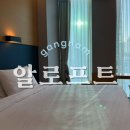 알로프트 서울 강남 호텔 | 알로프트 강남 할리우드 킹룸 투숙 후기｜서울 가성비 호텔 추천 &amp; 강남 비즈니스 호텔 찾는다면!