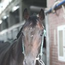 필 소 굿 이미지