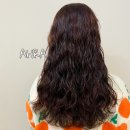 아라헤어 이미지