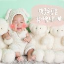 댕냥점빵 이미지