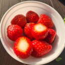 농장마을남자경로당 | [일산농원_딸기농장] 서울근교 딸기농장체험, 딸기꽃은 전부 딸기가 되는걸까? 입덧에 초록딸기를 먹었더니