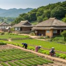 영근농장 | 장항 맥문동꽃축제와 별꽃농장 체험의 특별한 만남, 농촌의 매력을 경험하다