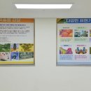 삼현초등학교 이미지