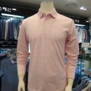 H1732 이미지