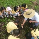 고창군 육아종합지원센타 이미지