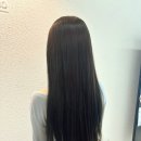 진희미용실 | 동대구역 미용실 sf헤어 애쉬브라운 염색 후기 할인받는 법