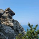 추자바다25시 이미지