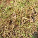 승용농장 이미지