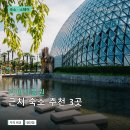 거제비지니스모텔 | 거제식물원 근처 숙소 추천 3곳: 가격과 후기 장단점 정리