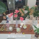 여주-0850 이미지