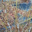 대견농장 이미지