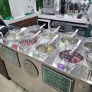 젤라또공대 이미지