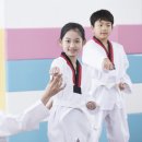 고려체대태권도 이미지