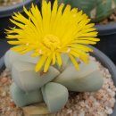 마옥농장 이미지