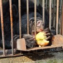 동해농장 이미지