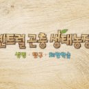 서해유치원 이미지