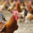 도동농장 이미지