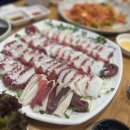 오늘막회 이미지